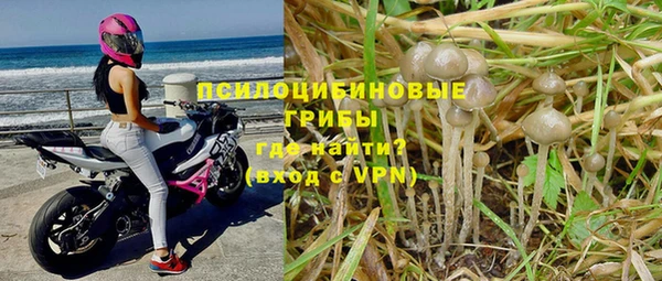 ешки Верея