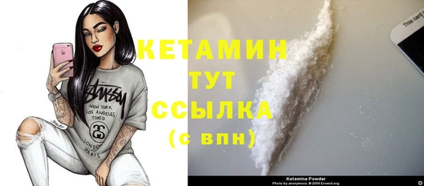 шишки Магас
