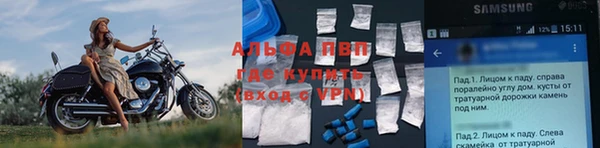 спиды Богородицк