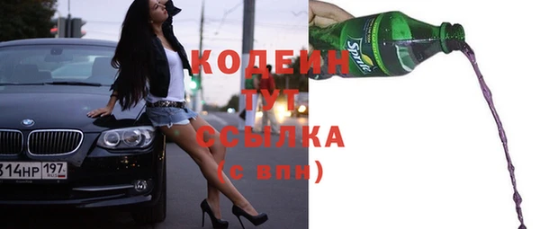 хмурый Верхний Тагил