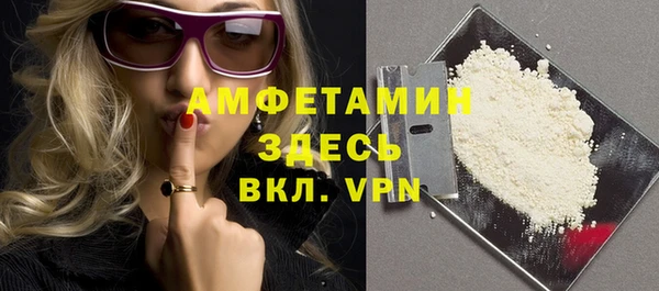 спиды Богородицк