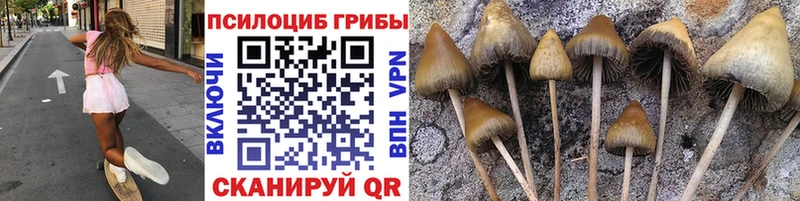 Псилоцибиновые грибы Cubensis  Купить  Алупка 